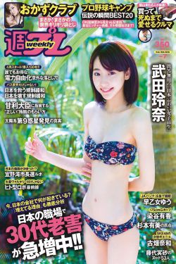 好团圆电视剧剧情介绍