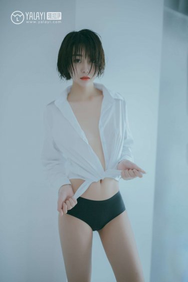 翻译官剧情介绍